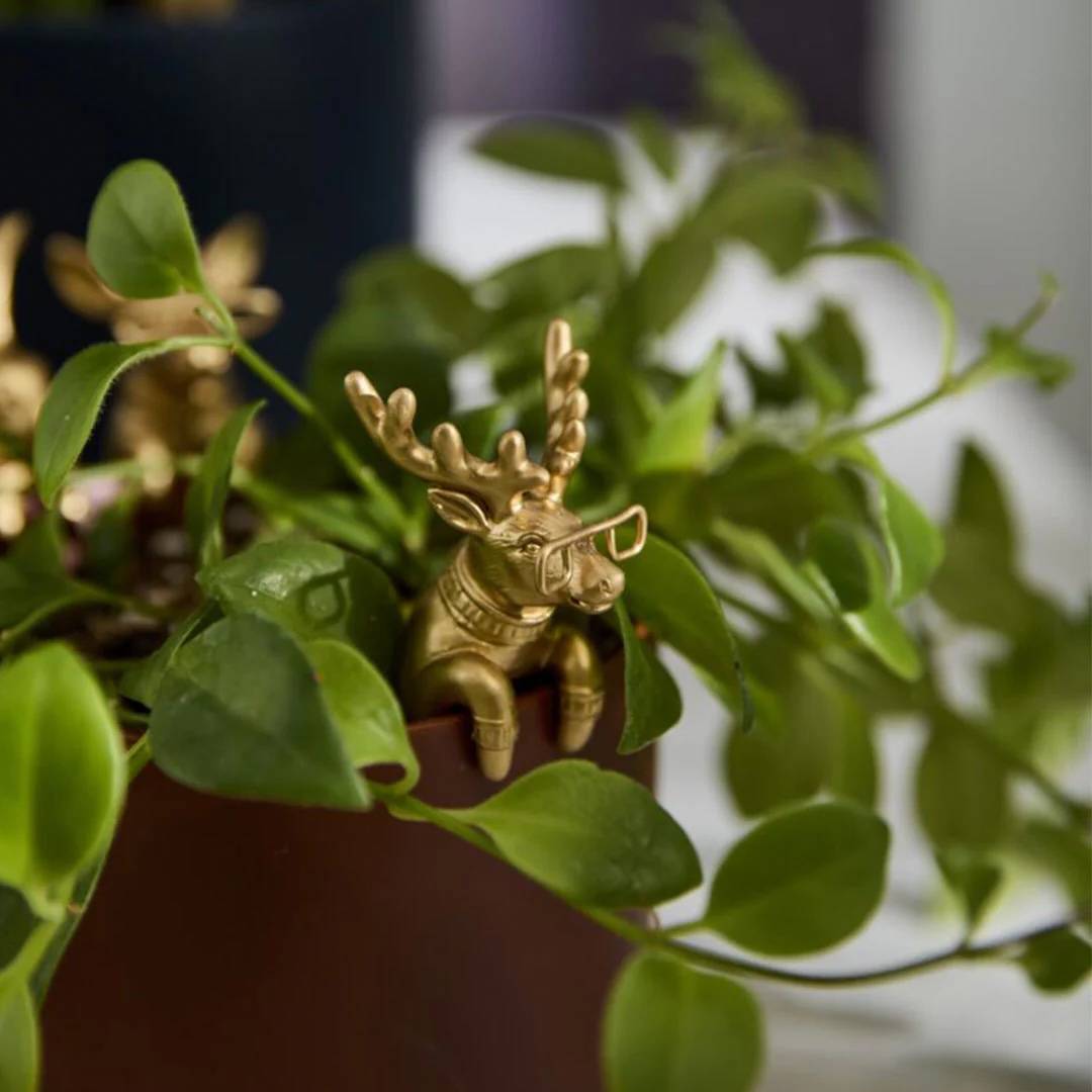 Hug Your Home: E+E Huggers