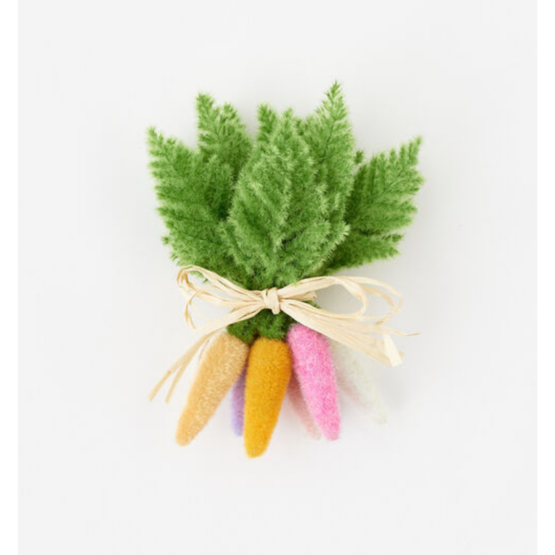 Large Colorful Carrot Bunch
