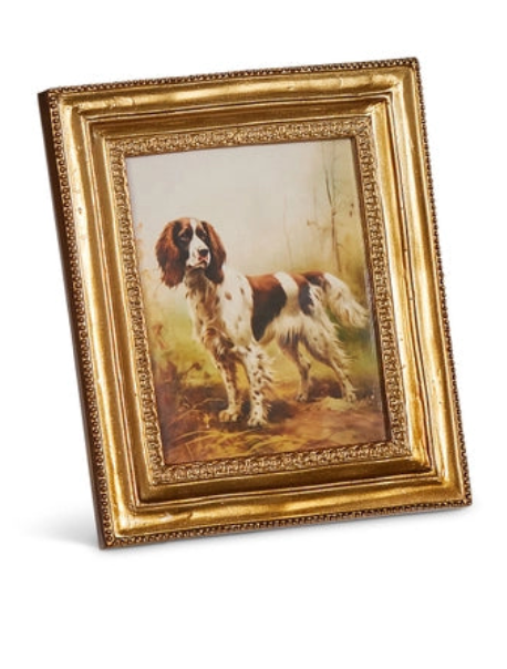 Vintage Bird Dog Framed Print