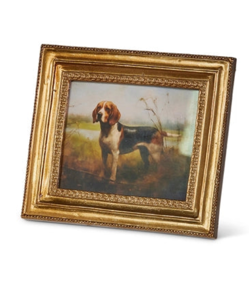 Vintage Bird Dog Framed Print