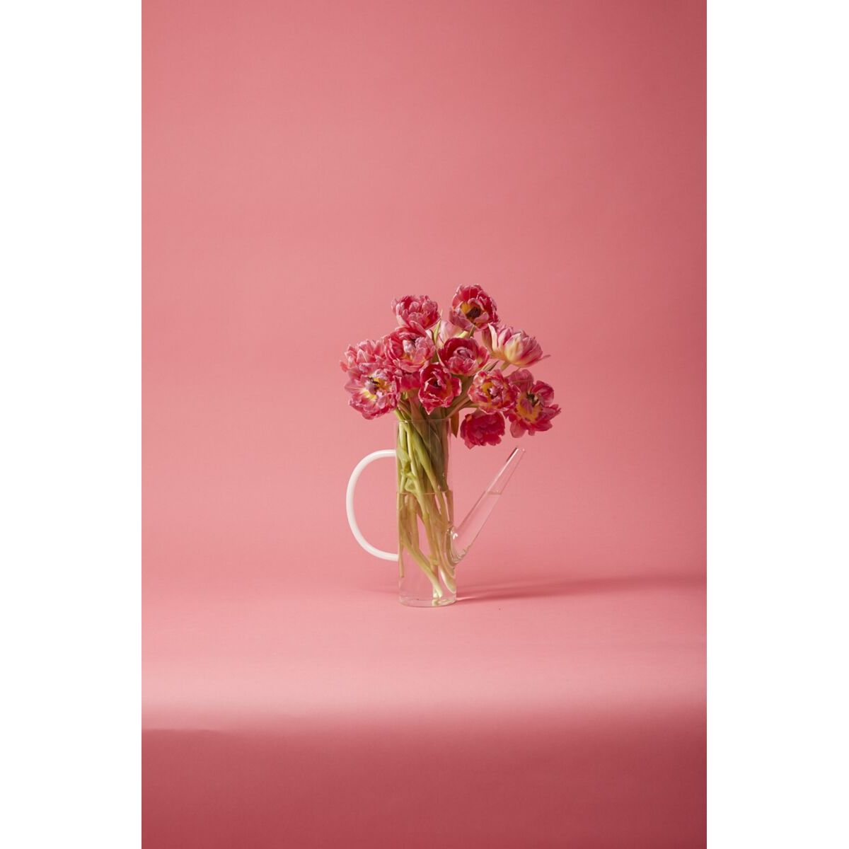 Arlo Watering Can