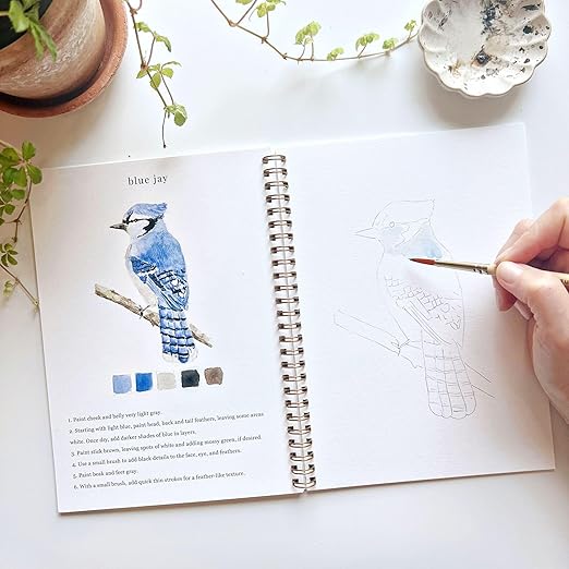 Birds Watercolor Workbook