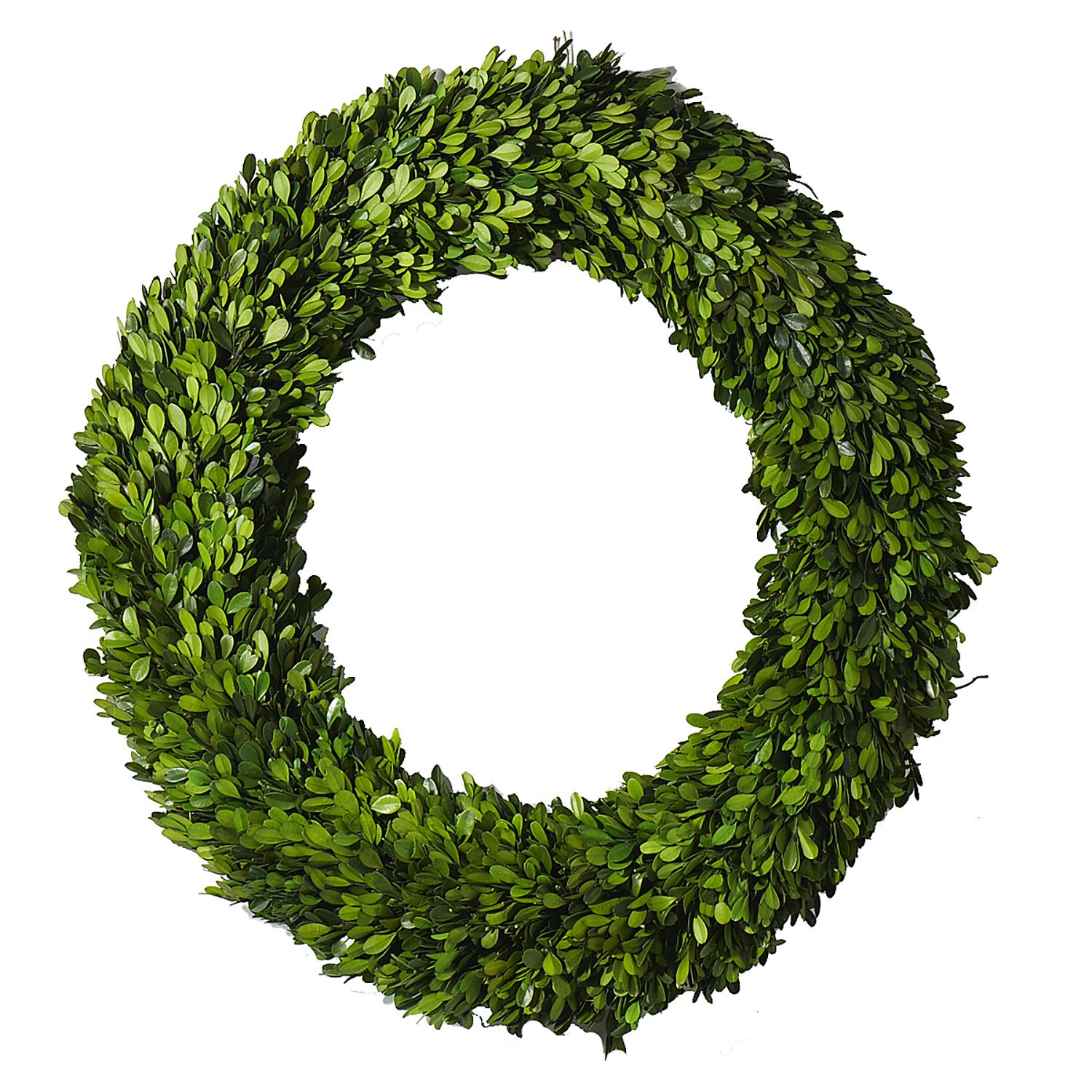 Boxwood 24in Wreath