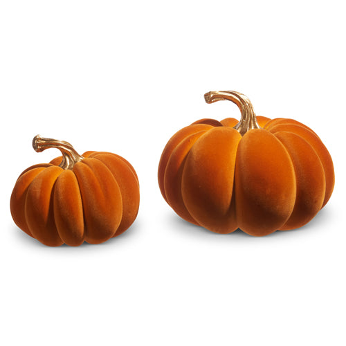 On sale Velvet Pumpkins