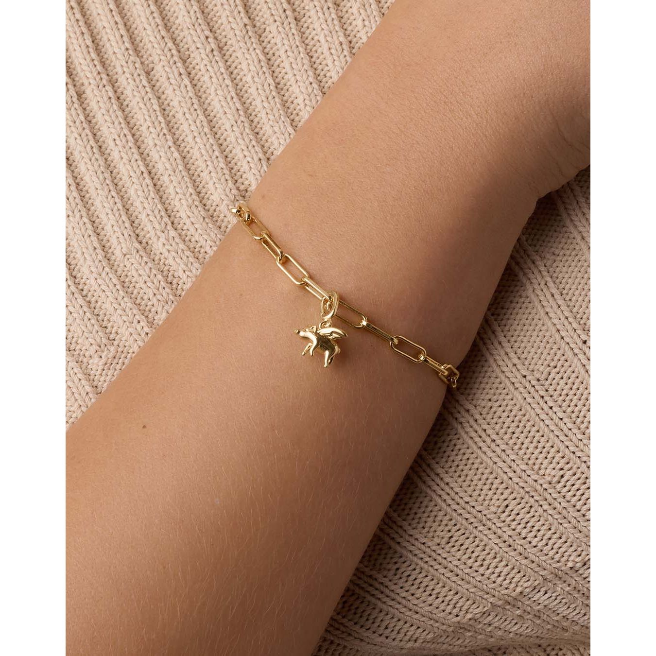 When Pigs Fly Parker Charm