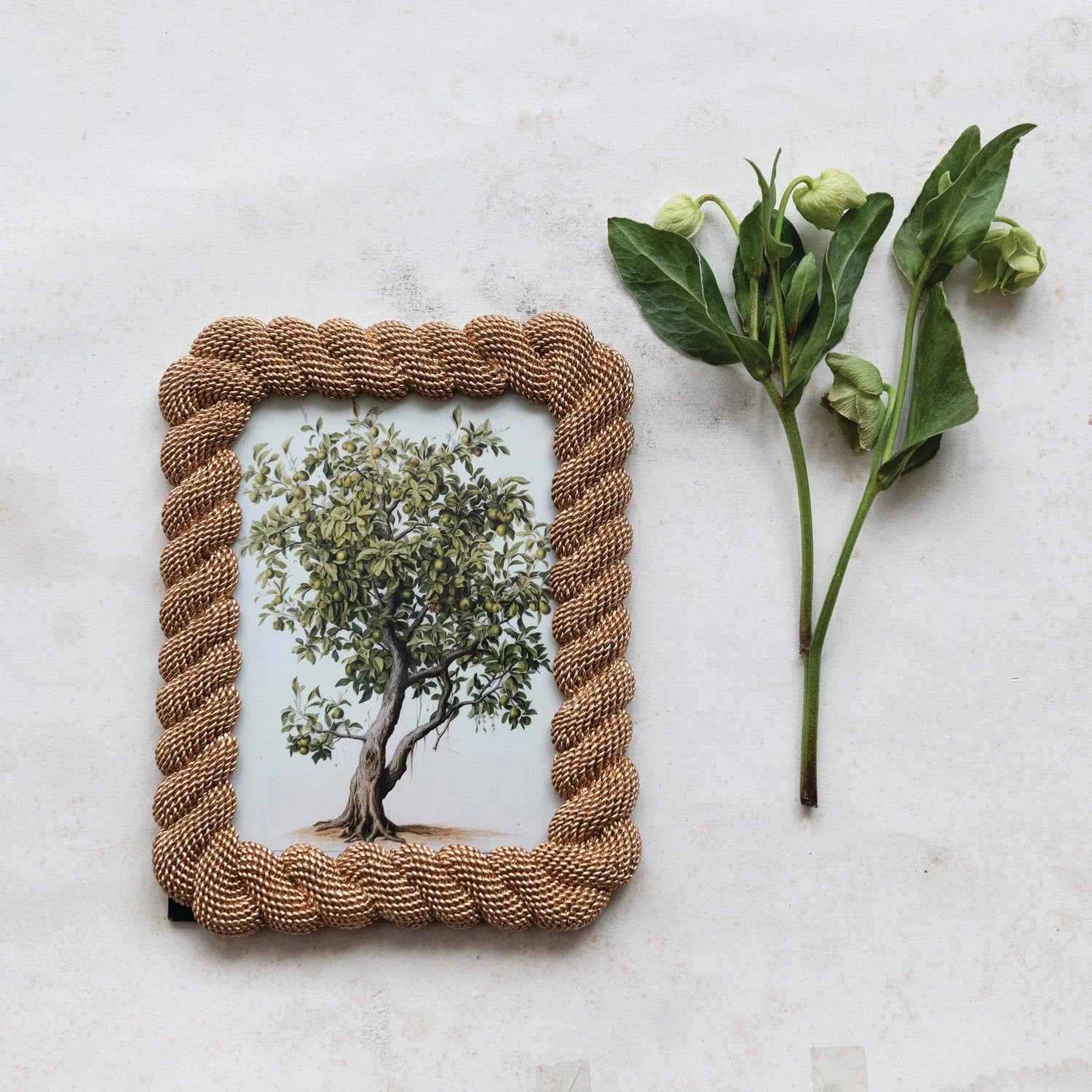 Resin Rope Photo Frame