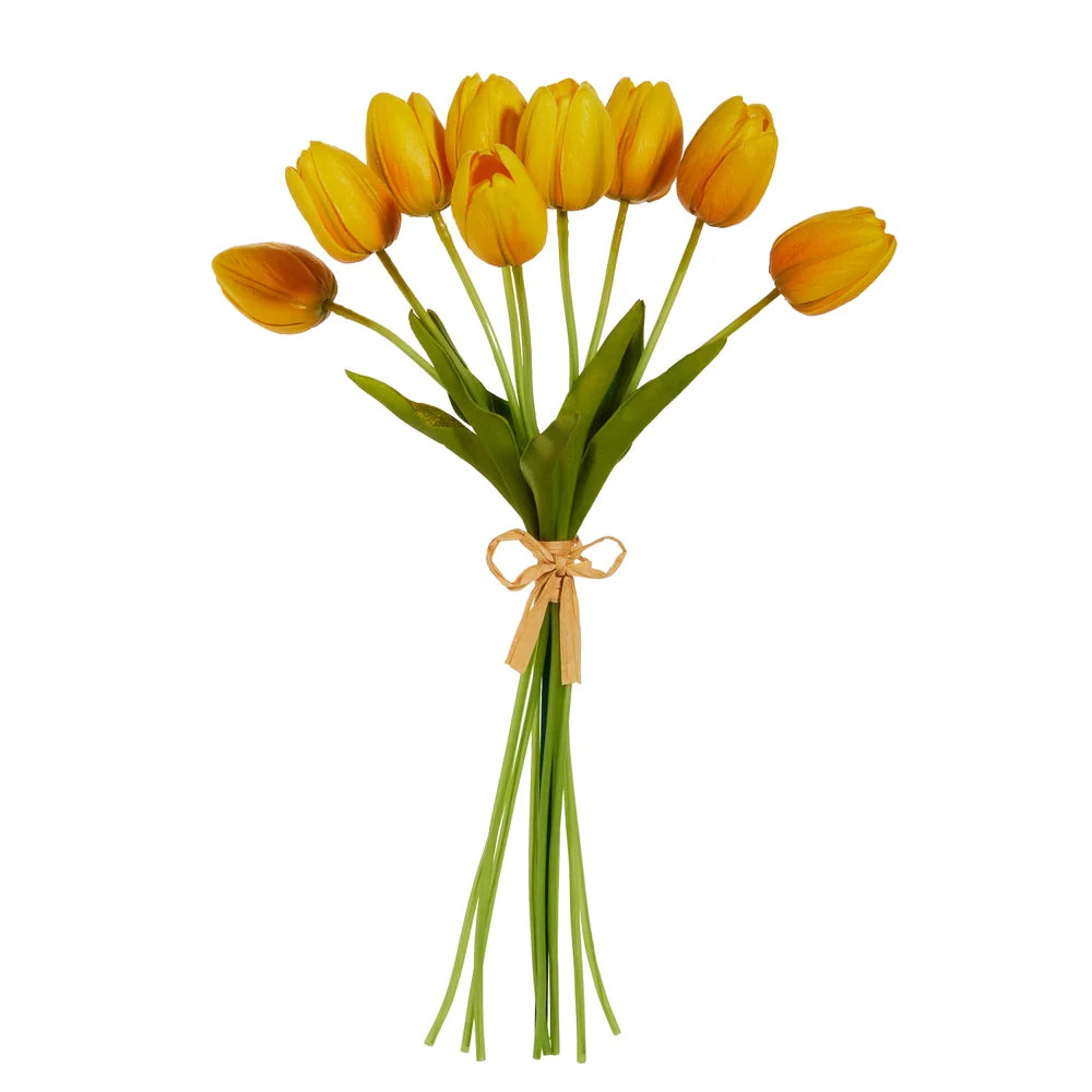 Yellow Tulip Bundle
