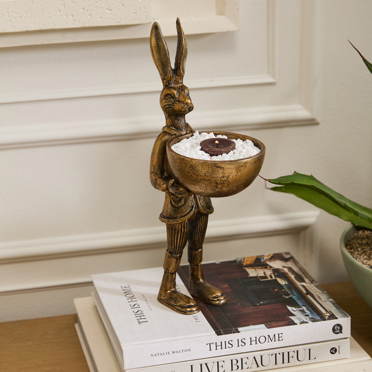 EJ Home Collection