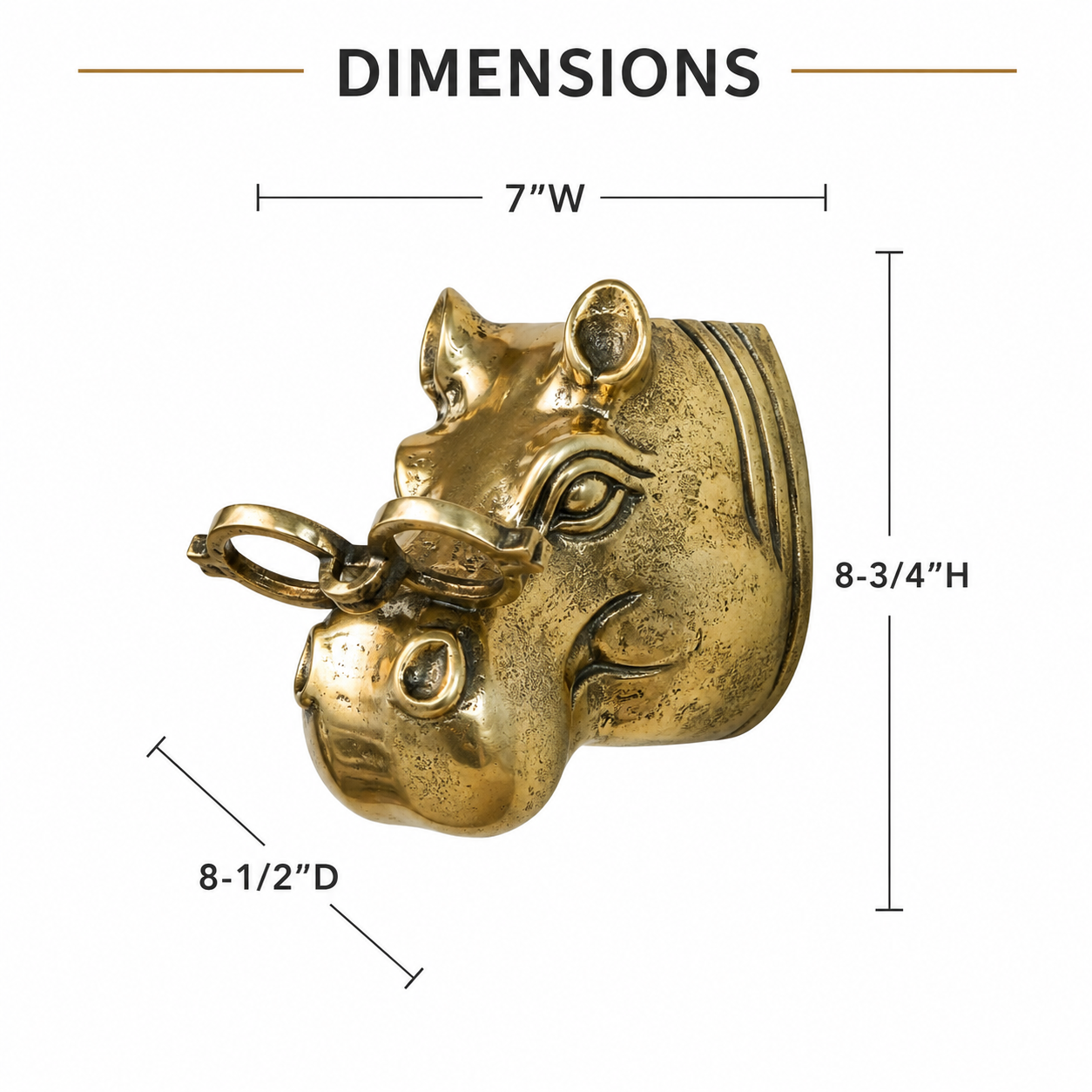 Dottie the Hippo Wall Mount (Antique Champagne Finish)