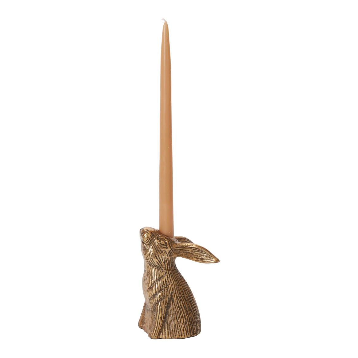Eric Hare Head Taper Holder