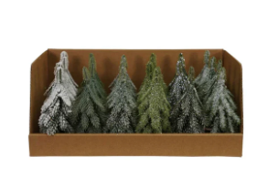 Single Bottle Brush Tree