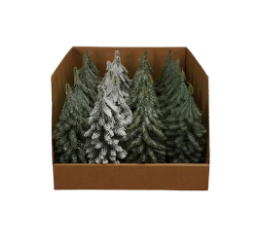 Single Bottle Brush Tree
