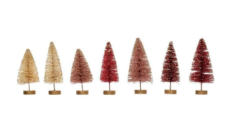Single Bottle Brush Tree