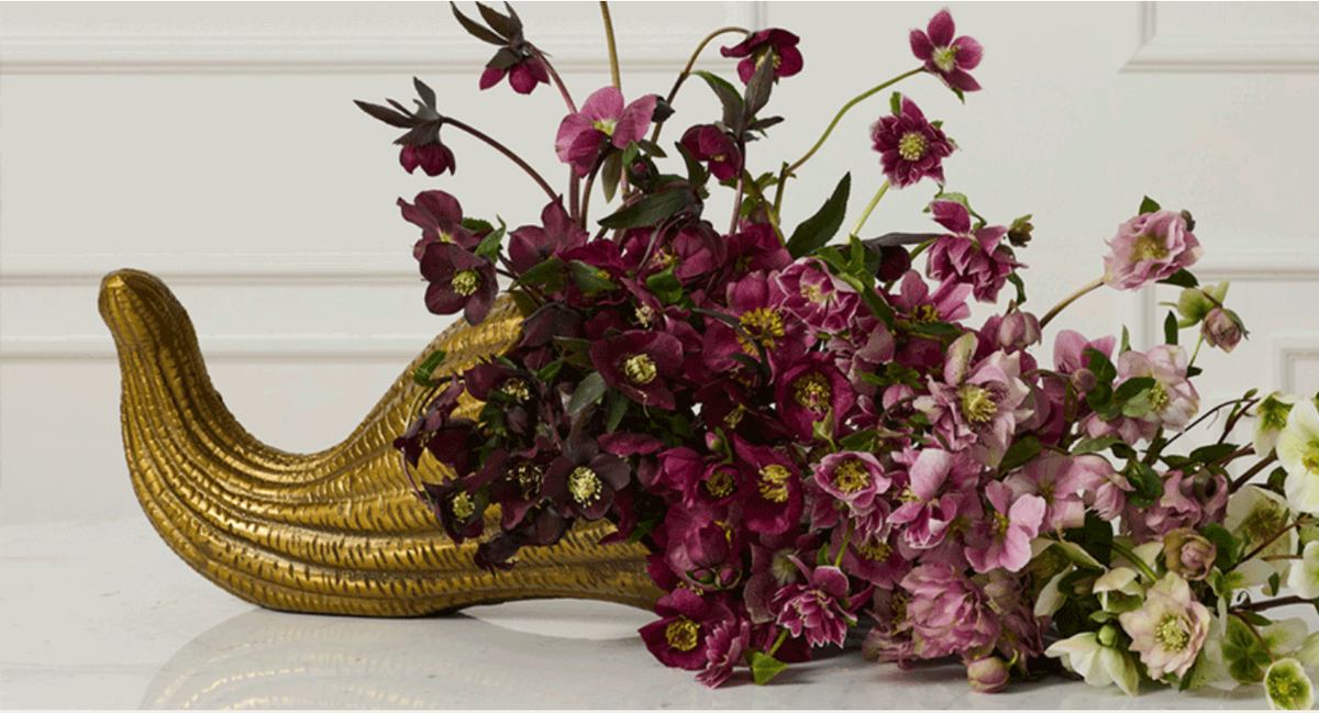 Harvest Cornucopia