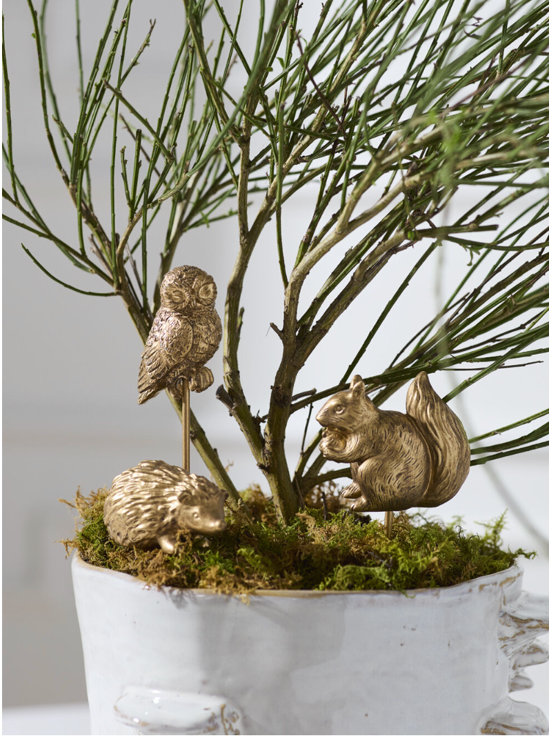 Scurry Plant Sticks