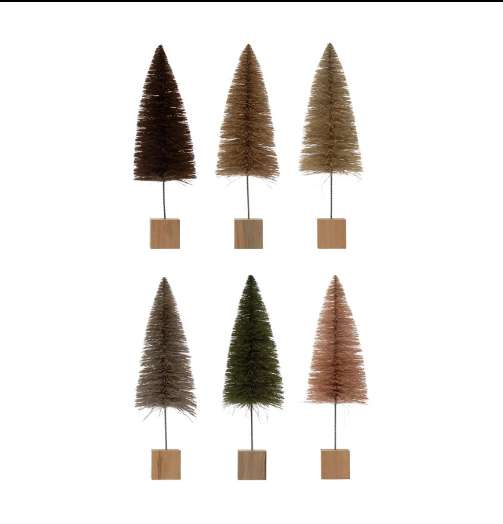 Single Bottle Brush Tree
