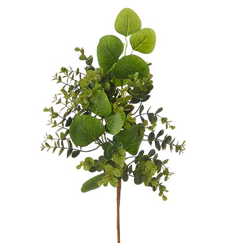 Boxwood and Eucalyptus Pick