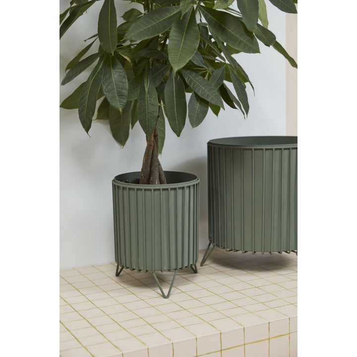 Corum Planter