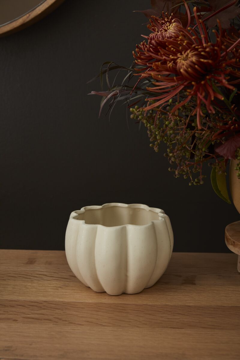 Spiced Pumpkin Pot - Cream