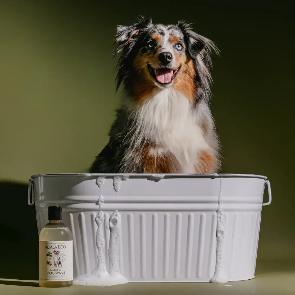 16oz Dog Wash