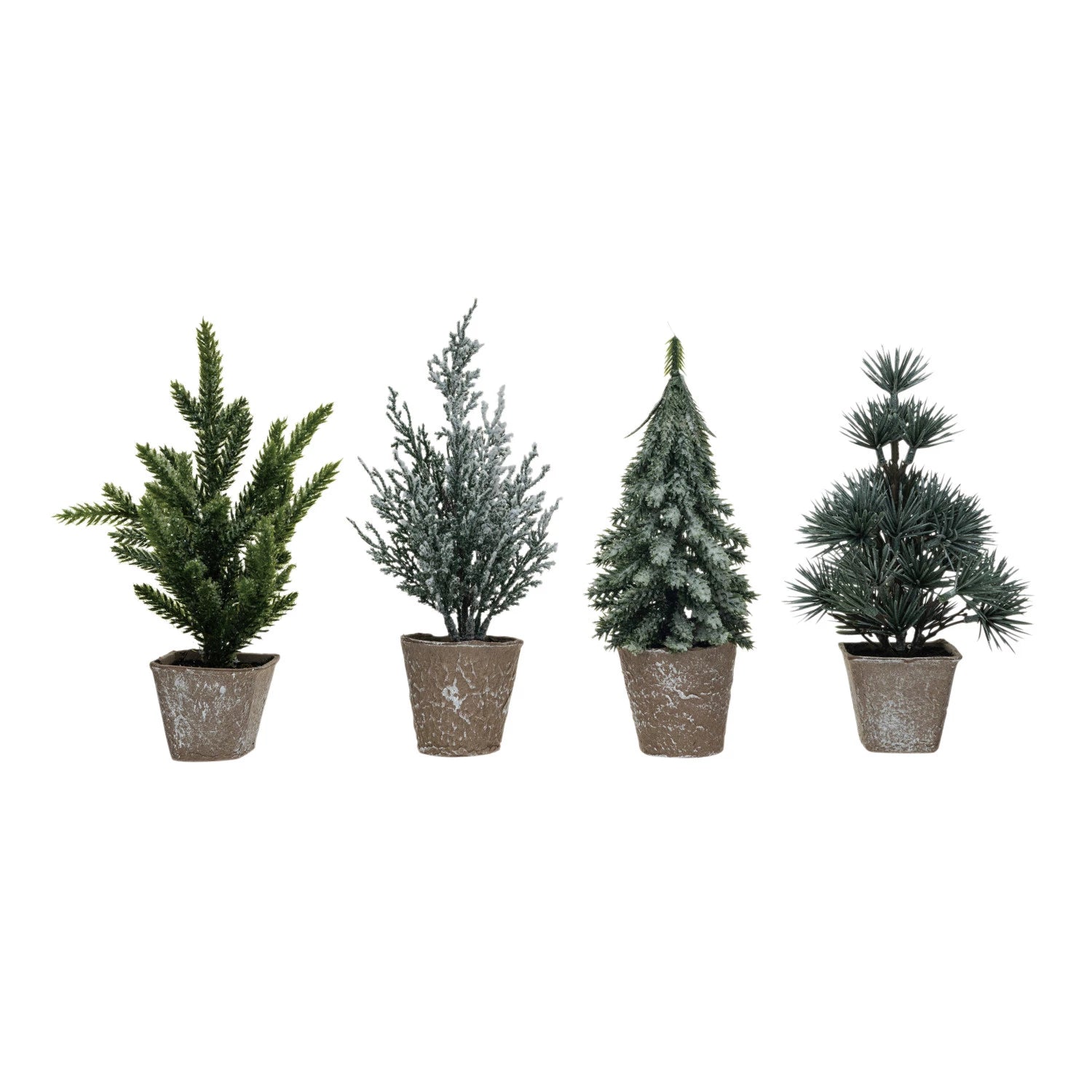 Small Potted Frosted Evergreen