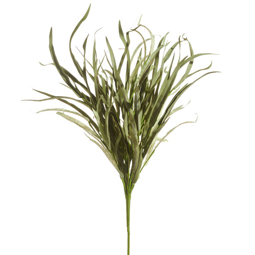 Grass Branch