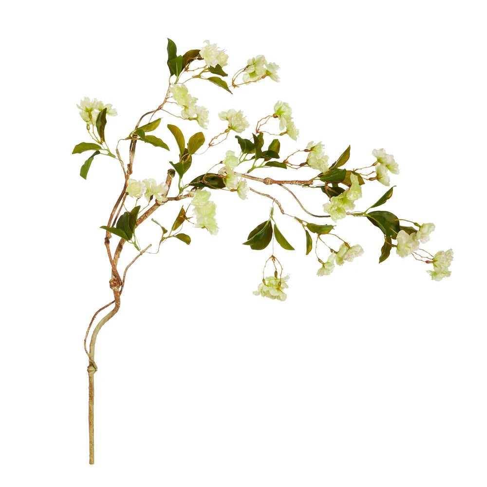 Green Cherry Blossom Branch