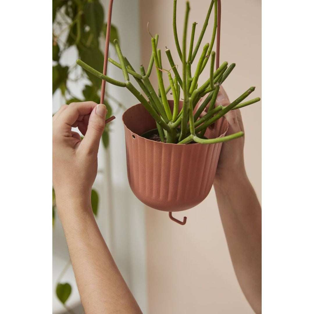 Gemini Hanging Pot