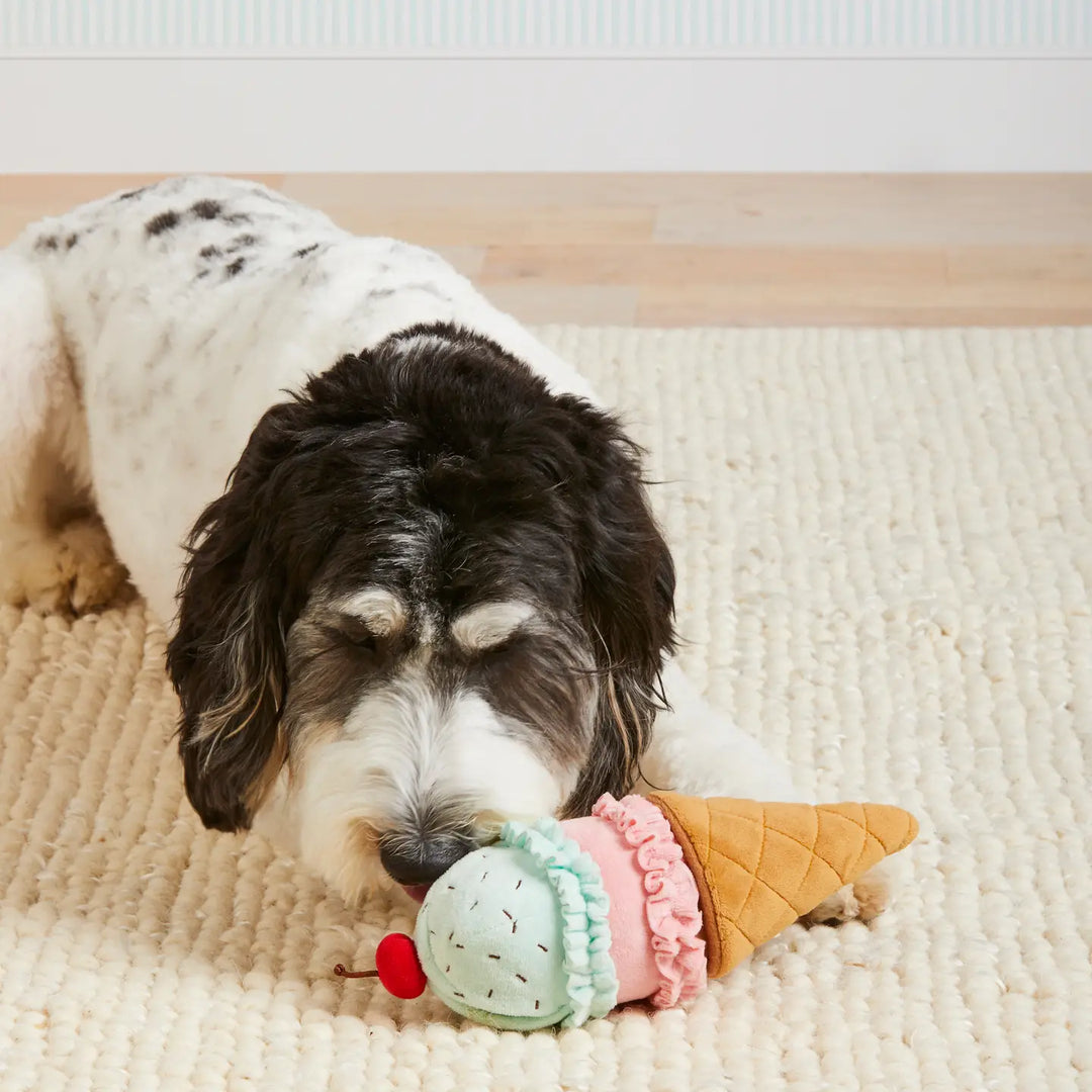 Ice Cream Dog Toy