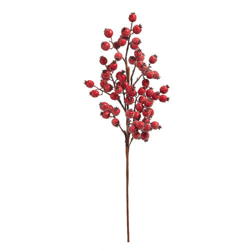 Iced Red Berry Spray