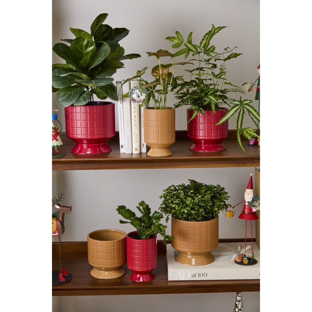 Red Jacques Pot