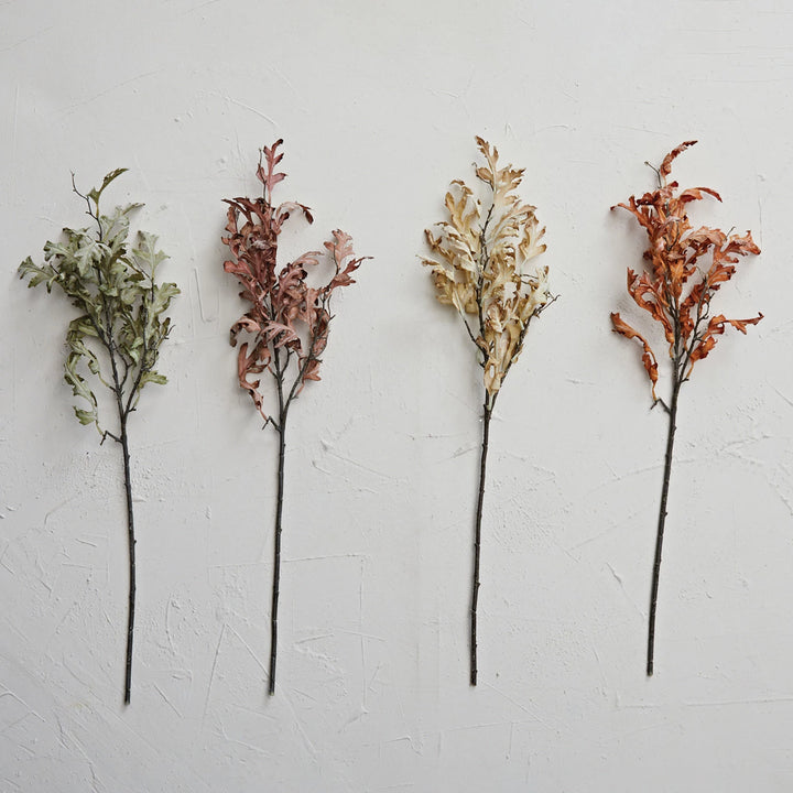 Oak Leaf Stem