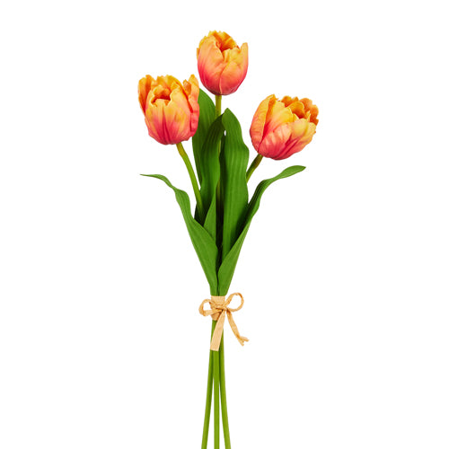 Orange Tulip Bundle