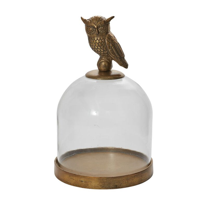 Owl Cloche