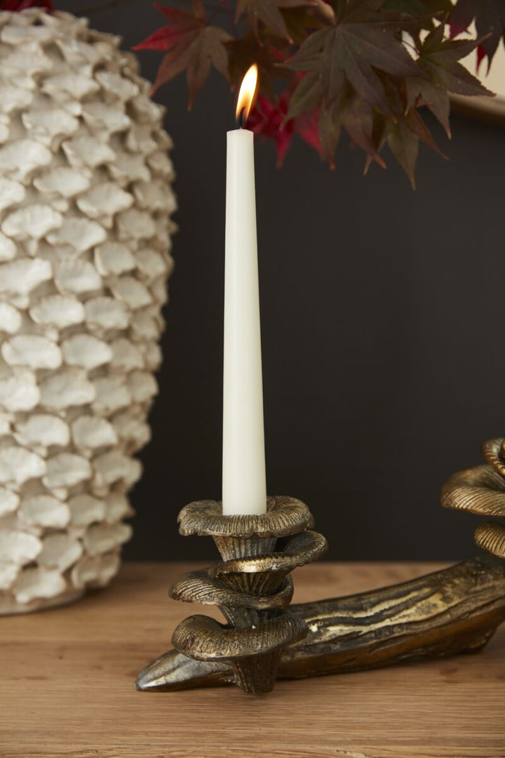 Oyster Mushroom Candleholder