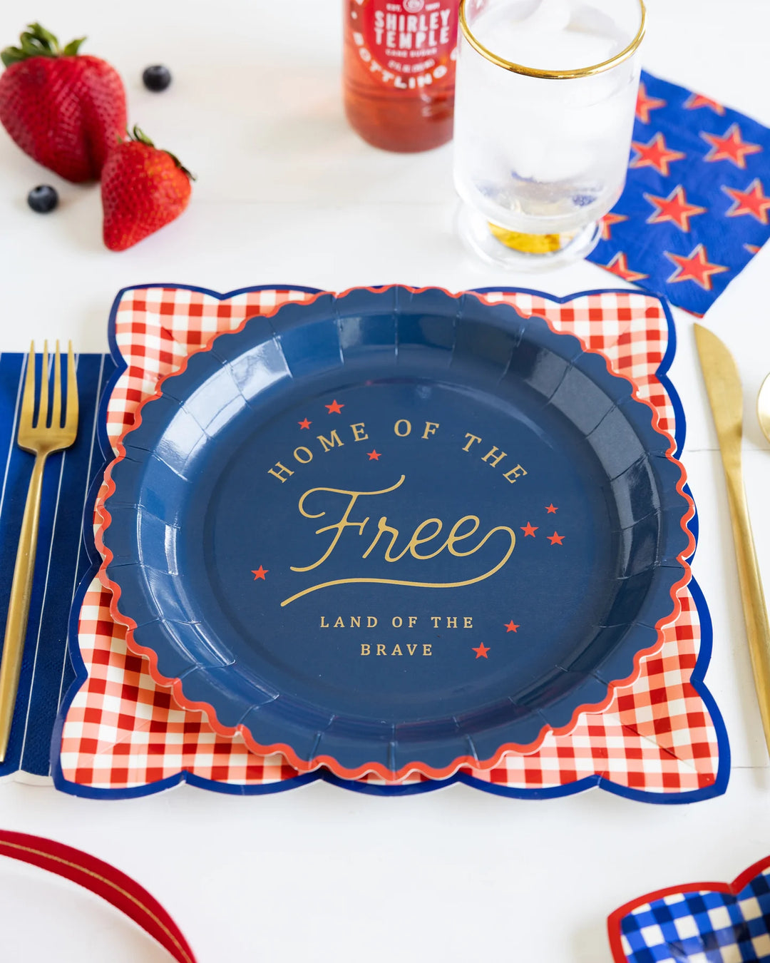 Red & Blue Gingham Paper Plates