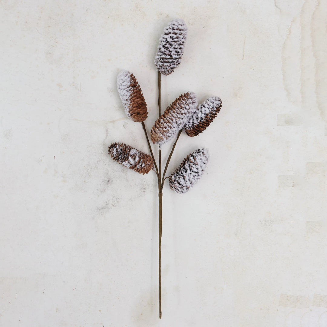 Snowy Pinecone Stem