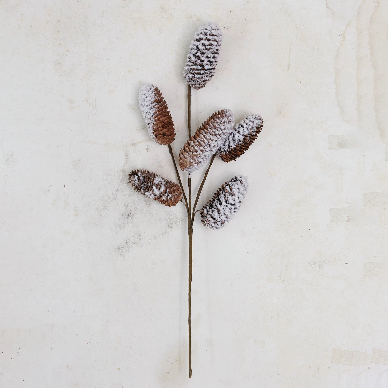 Snowy Pinecone Stem