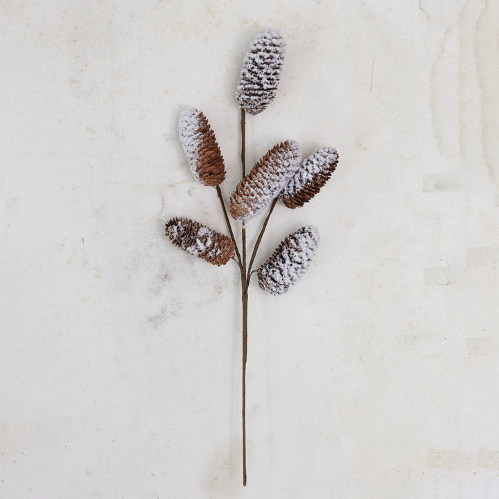 Snowy Pinecone Stem