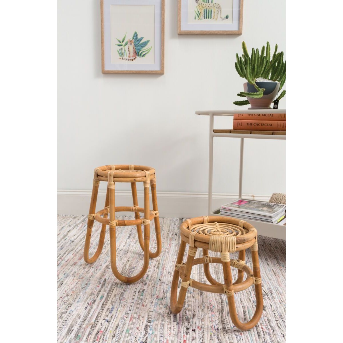 Barefoot Plant Stand