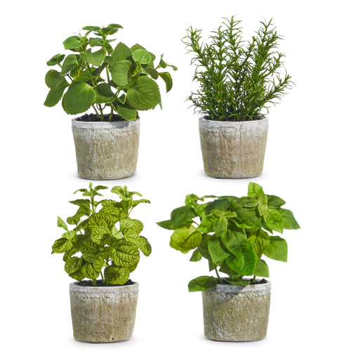 Potted Herb