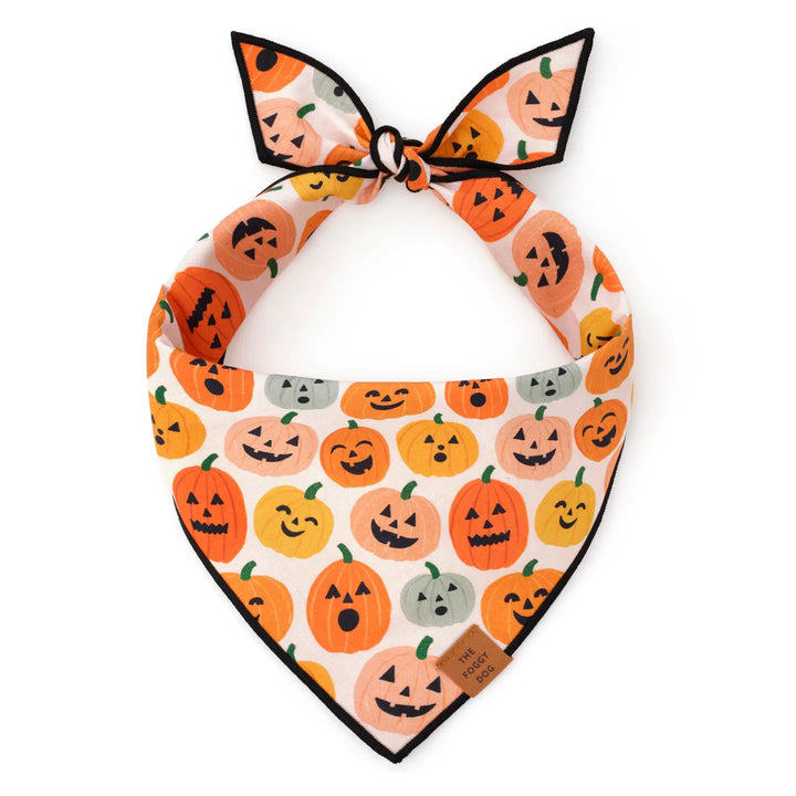 Pumpkin Dog Bandana