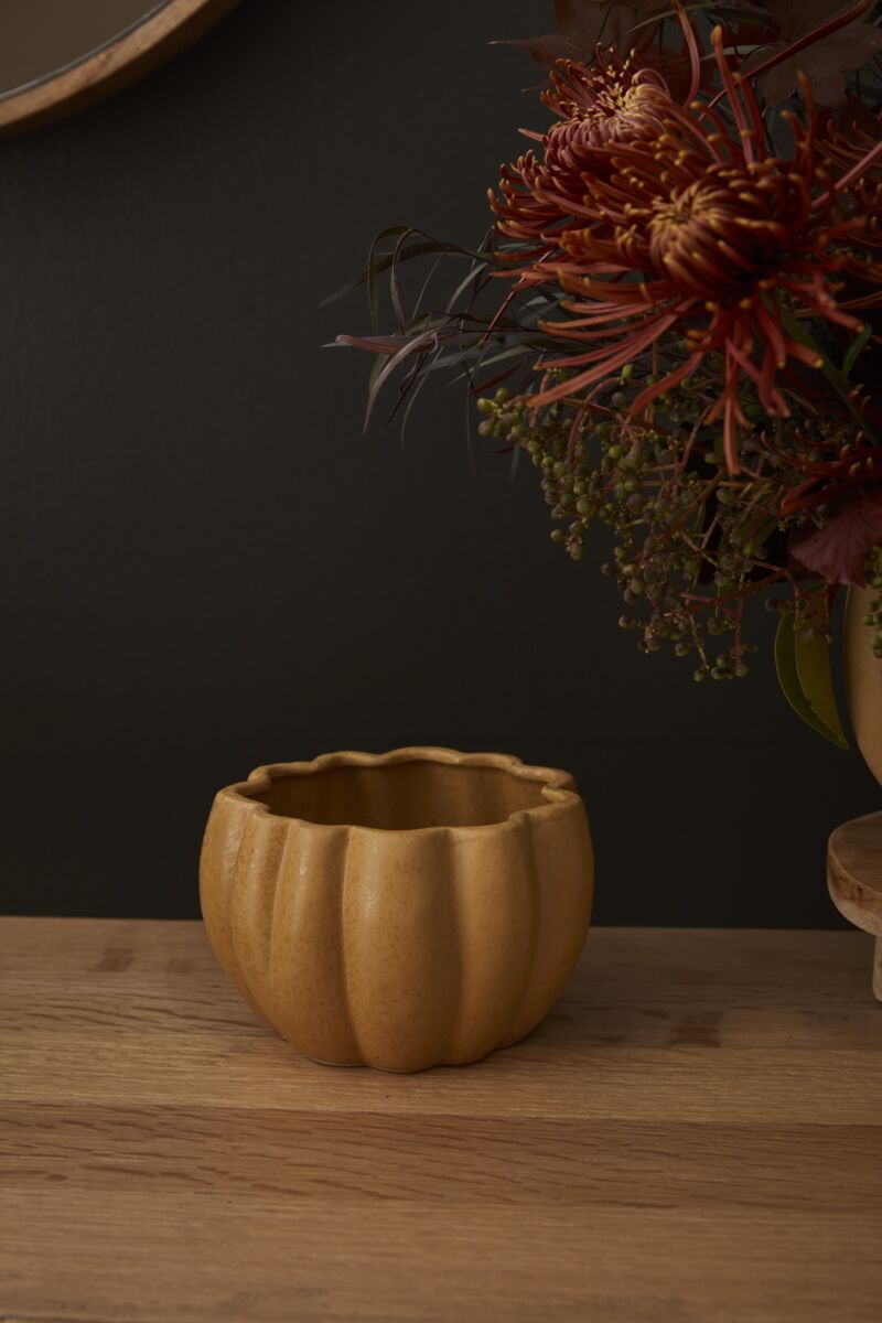 Spiced Pumpkin Pot - Orange