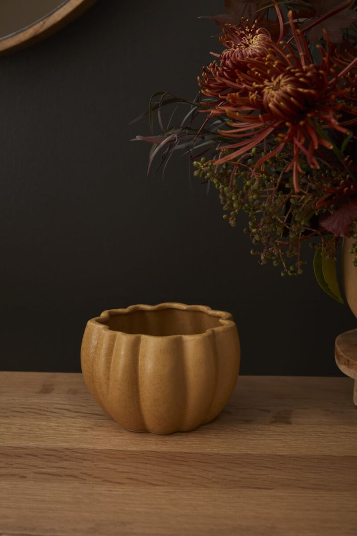 Spiced Pumpkin Pot - Orange