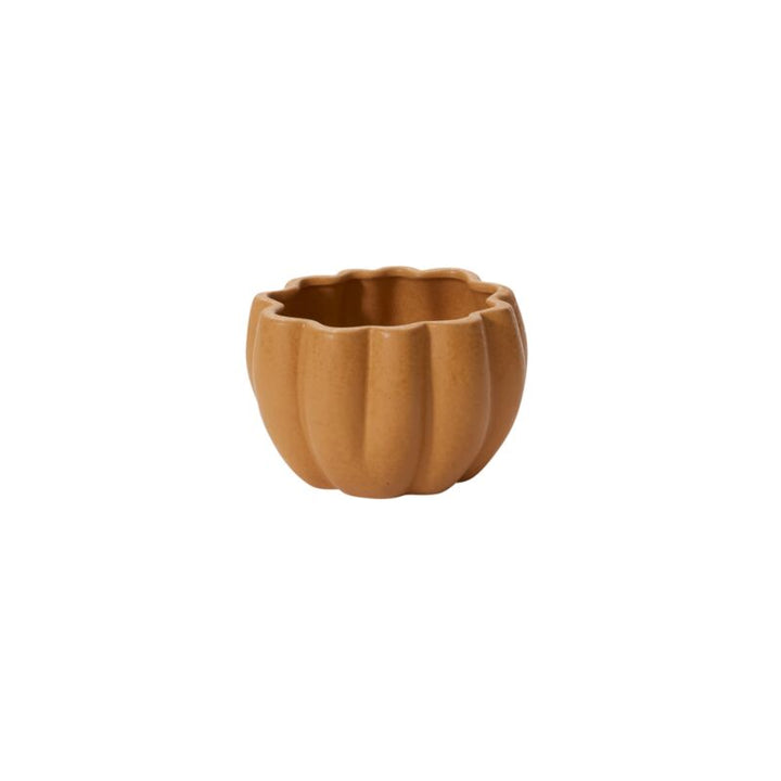 Spiced Pumpkin Pot - Orange