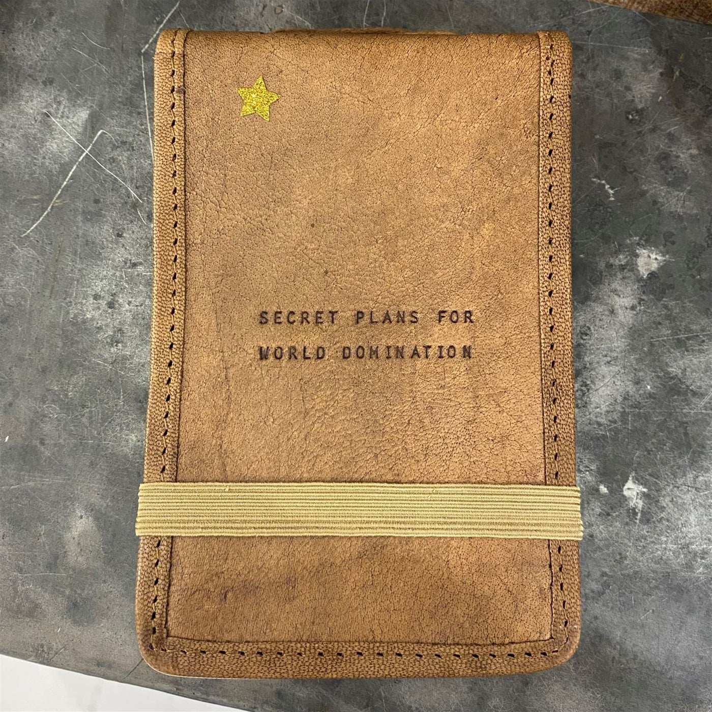 Mini Secret Plans Leather Journal