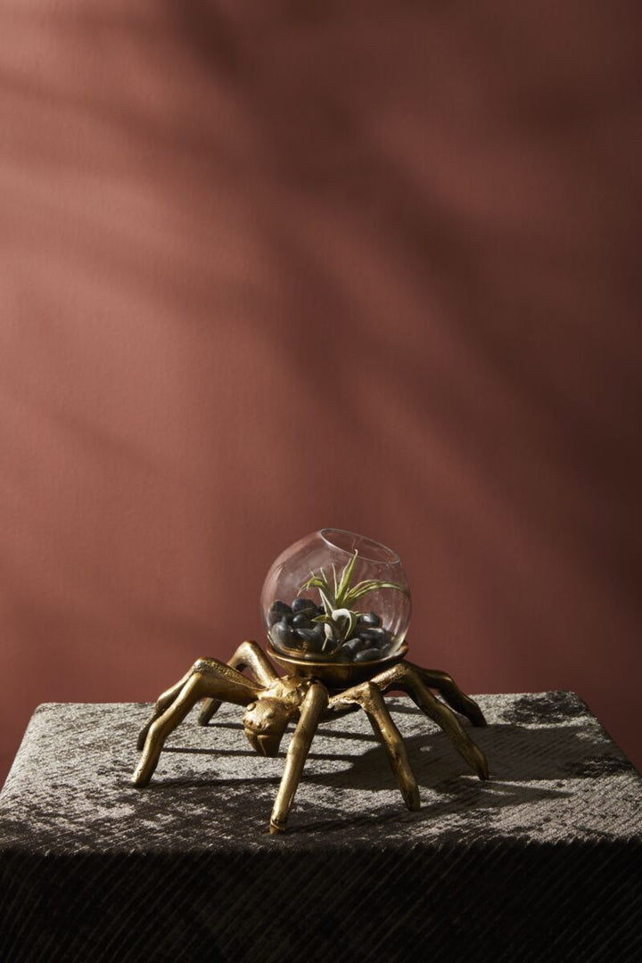 Arachnid Terrarium