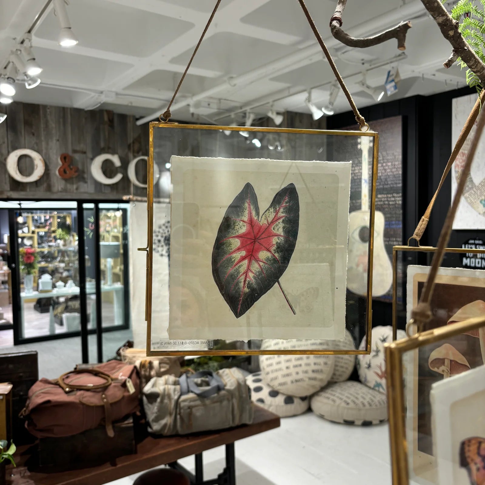 Square Brass Frame