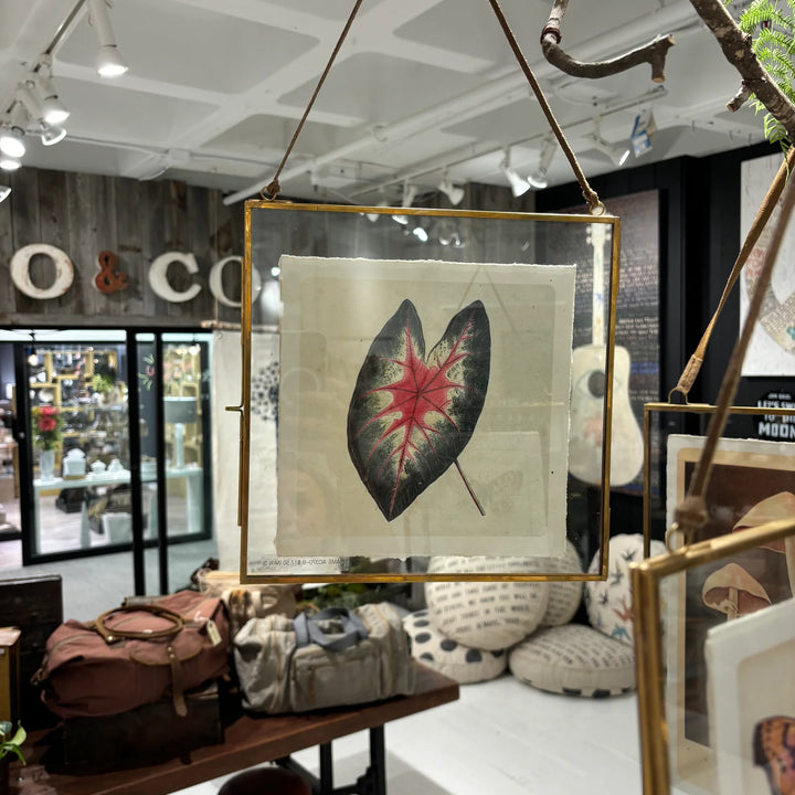 Square Brass Frame