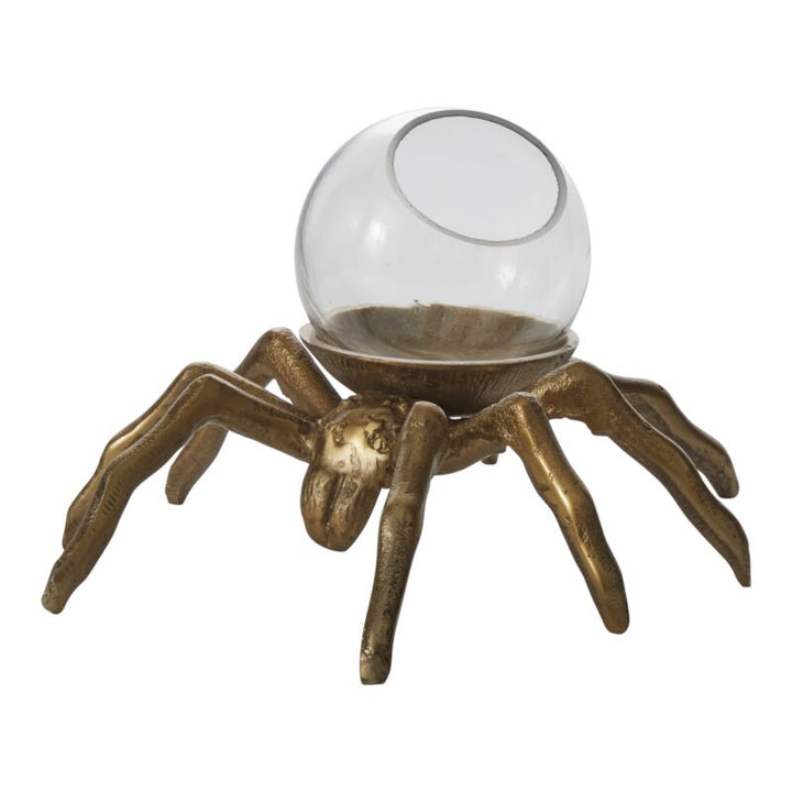 Arachnid Terrarium